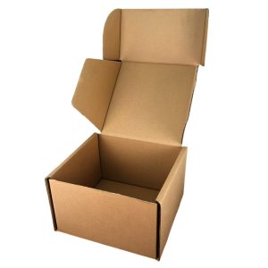 Square Kraft Box Malaysia